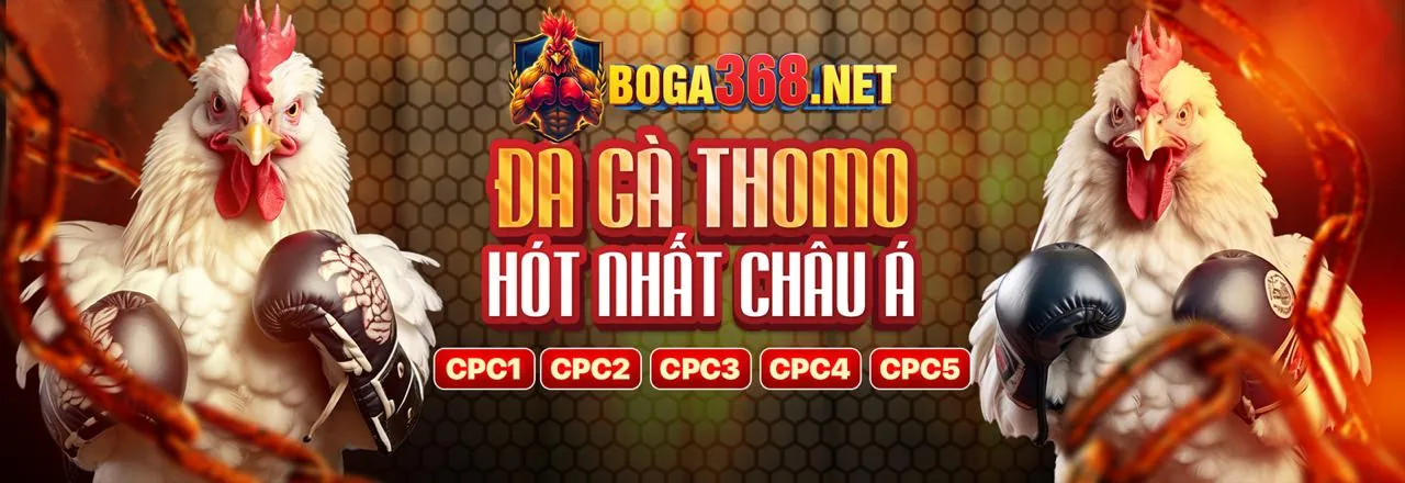 Đấu trường đá gà trực tuyến sôi động tại hi8802 login
